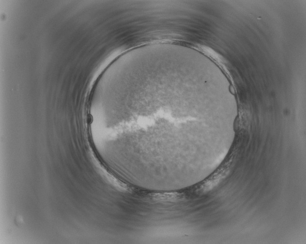 X0000075870859200610151659