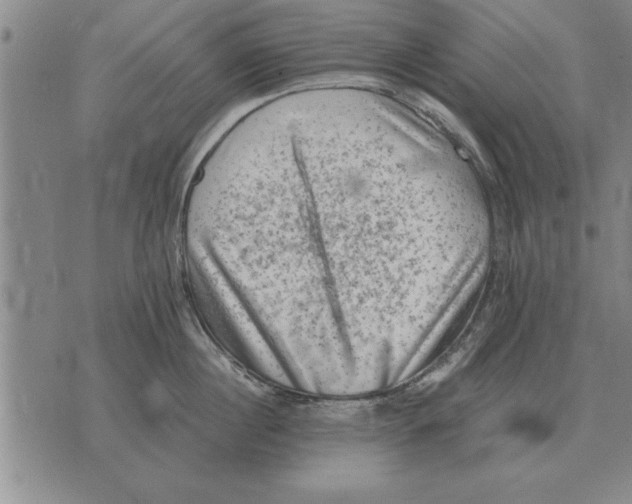 X0000075870860200610151659