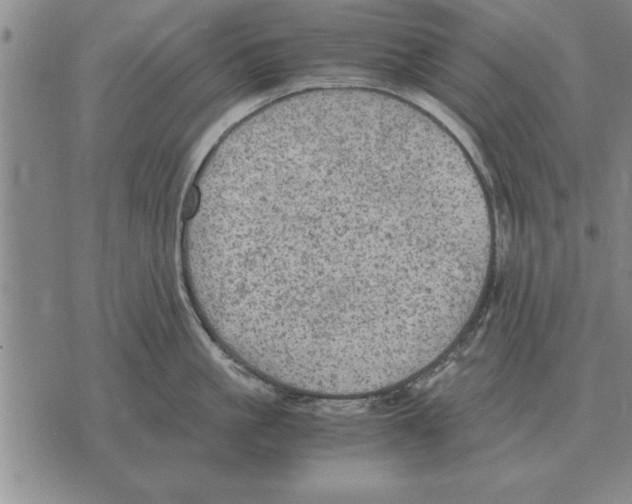 X0000075870861200610151659