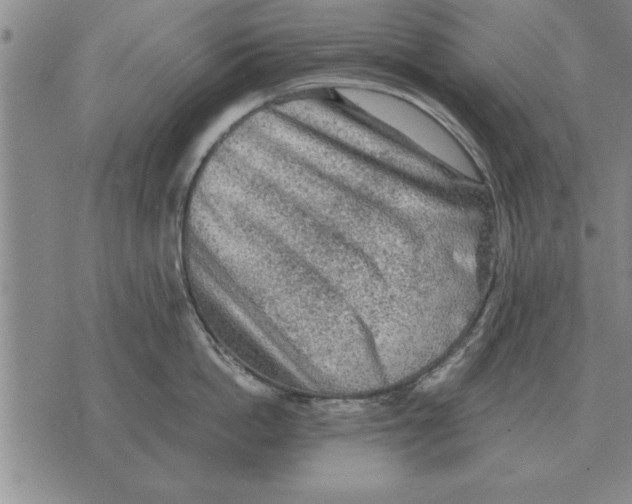 X0000075870862200610151659