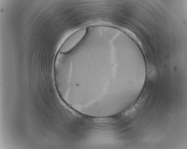 X0000075870863200610151659