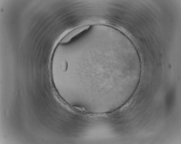 X0000075870864200610151659