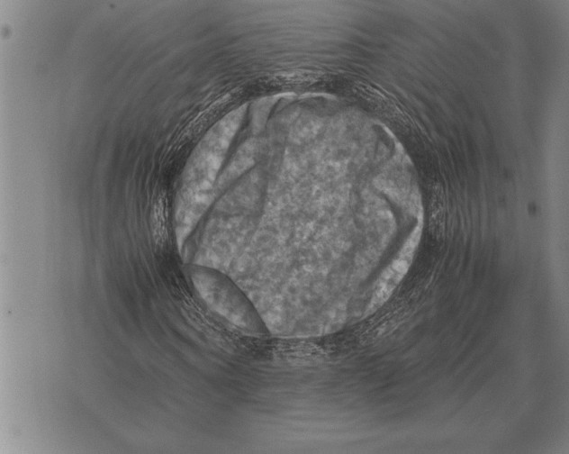 X0000075870866200610151658