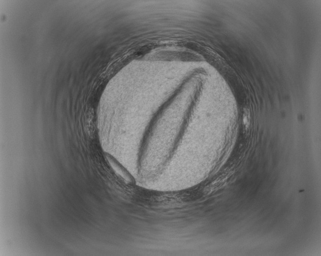 X0000075870867200610151658