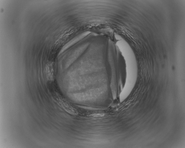 X0000075870868200610151658