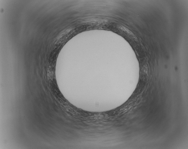 X0000075870869200610151658