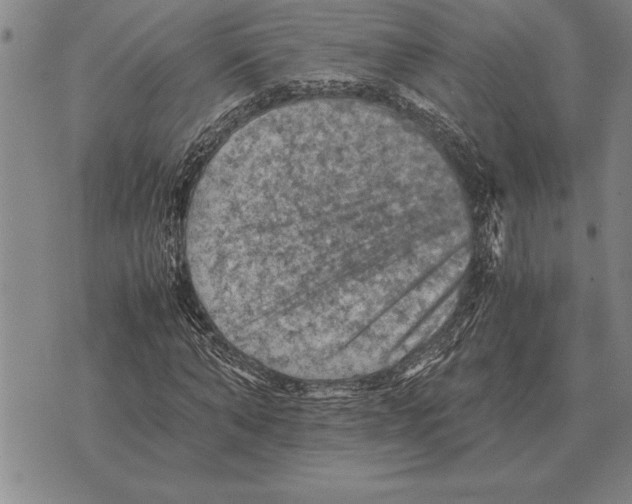 X0000075870870200610151658