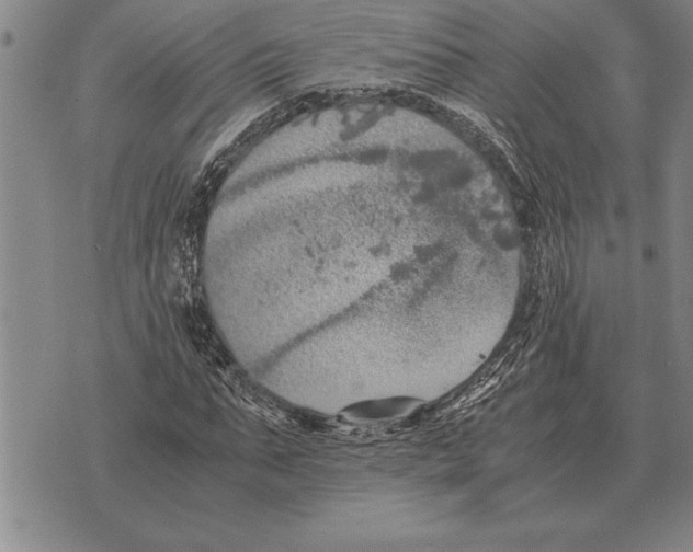 X0000075870871200610151658