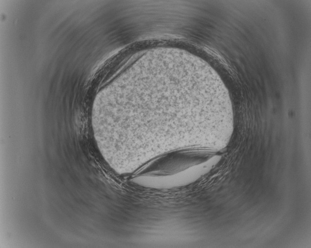 X0000075870872200610151658