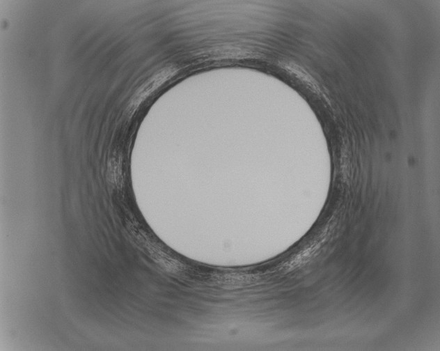 X0000075870873200610151658