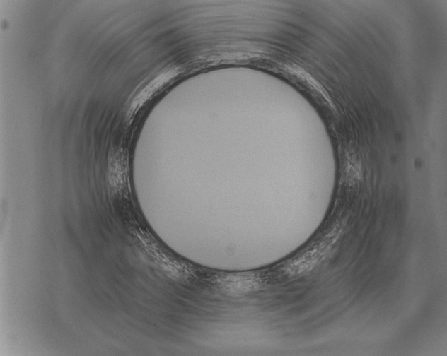 X0000075870874200610151658