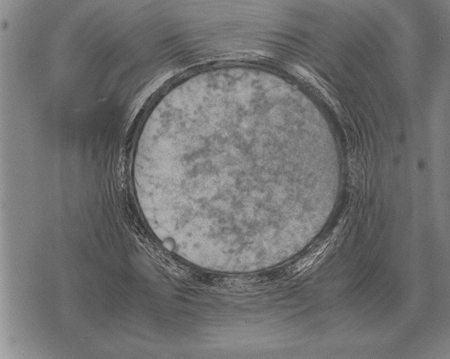 X0000075870875200610151658