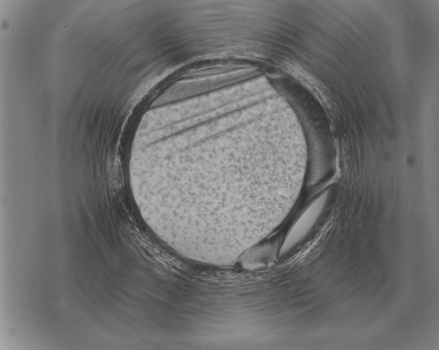 X0000075870876200610151658