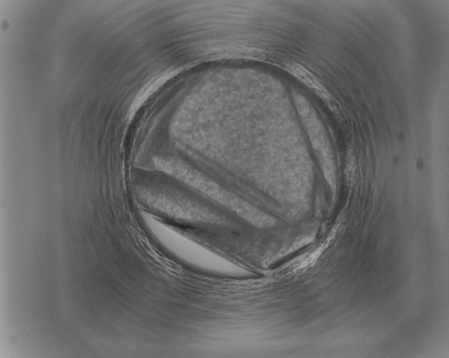 X0000075870877200610151658