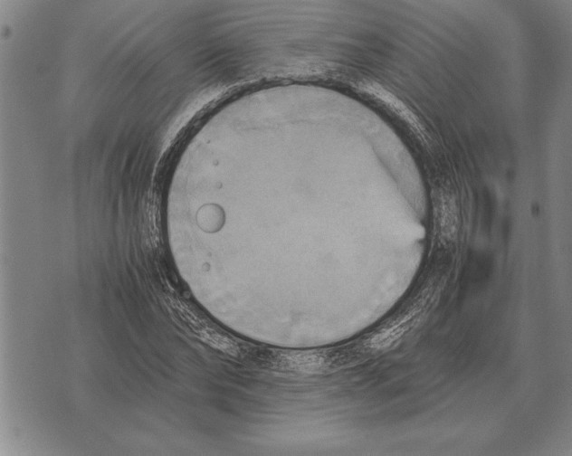 X0000075870878200610151658