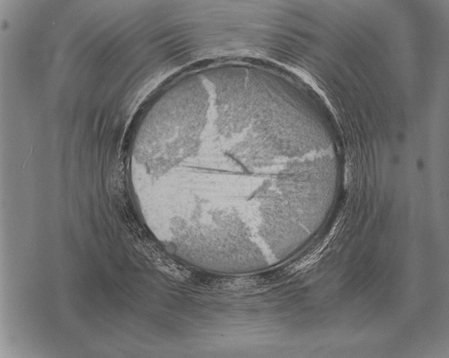 X0000075870879200610151658