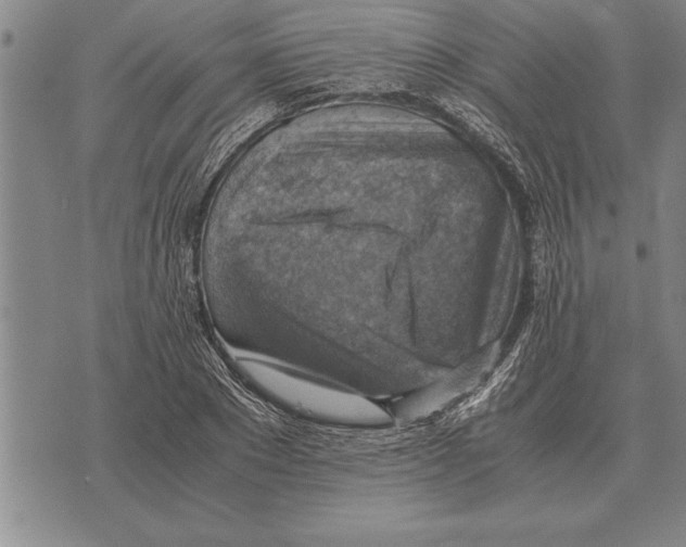 X0000075870881200610151658