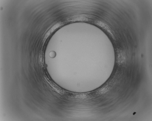 X0000075870882200610151658