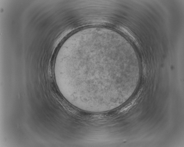 X0000075870883200610151658