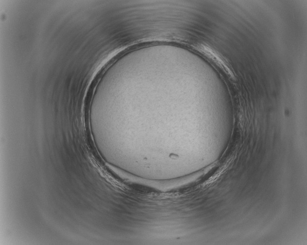 X0000075870884200610151658