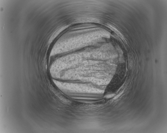 X0000075870885200610151658