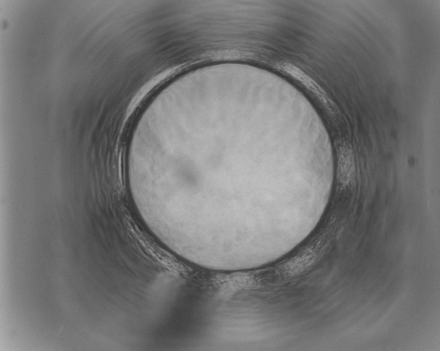 X0000075870886200610151658