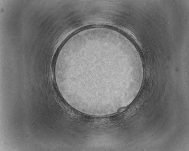 X0000075870887200610151658