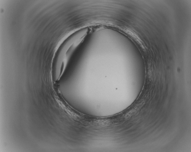 X0000075870888200610151658