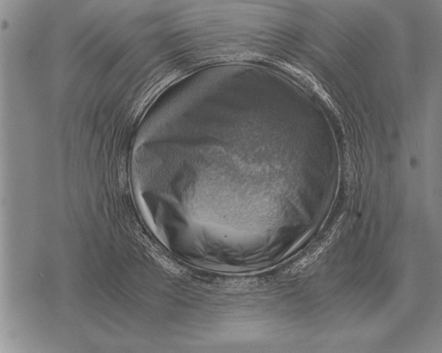 X0000075870889200610151658