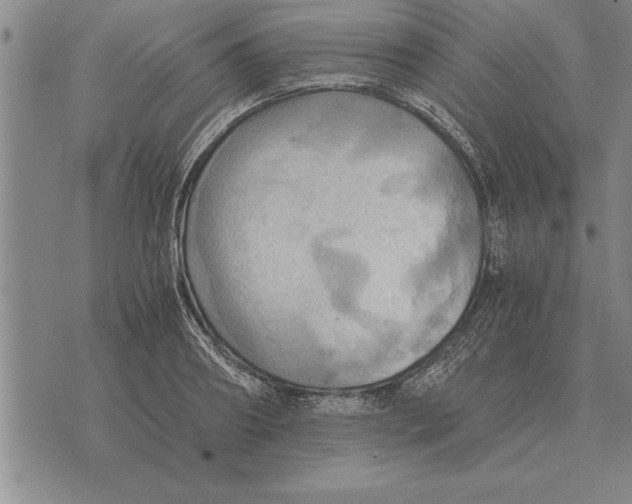 X0000075870890200610151657