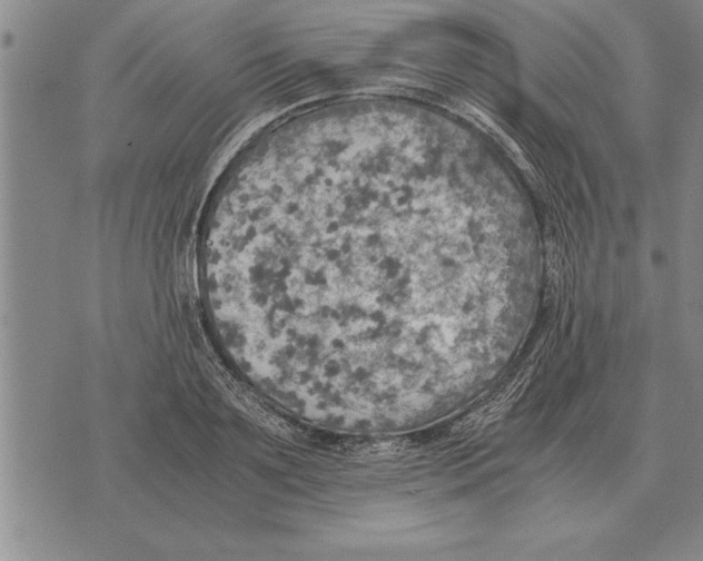 X0000075870891200610151657