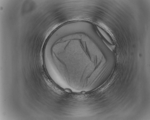 X0000075870892200610151657