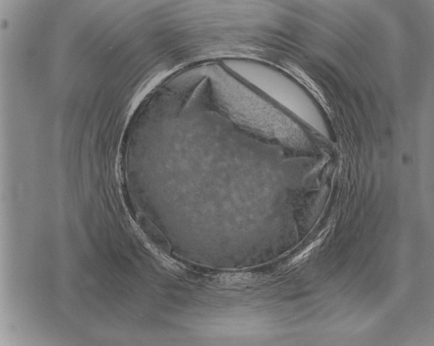 X0000075870893200610151657