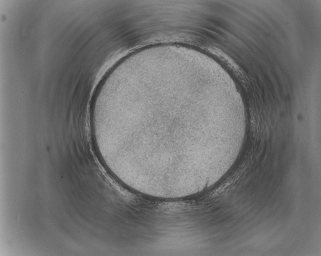 X0000075870894200610151657