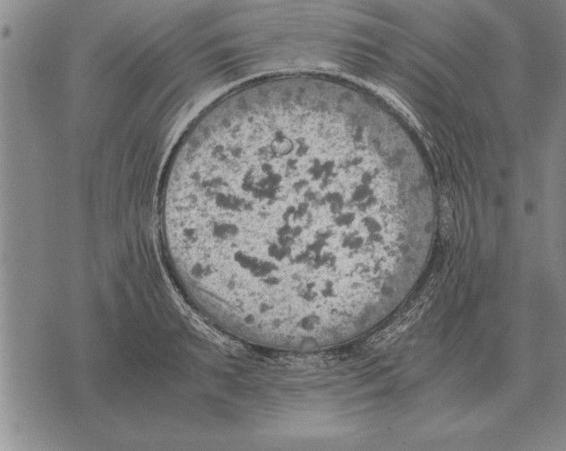 X0000075870895200610151657