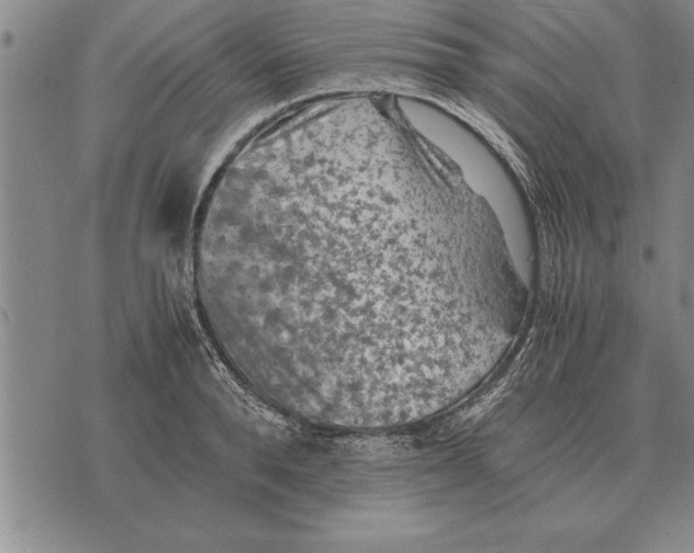 X0000075870896200610151657