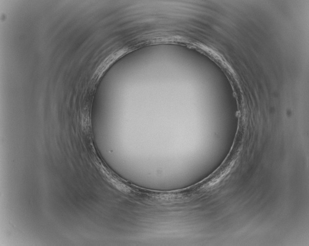 X0000075870897200610151657