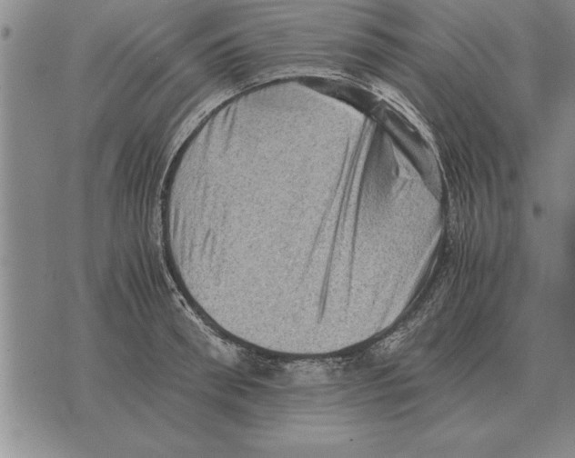 X0000075870898200610151657