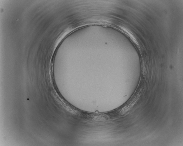 X0000075870899200610151657