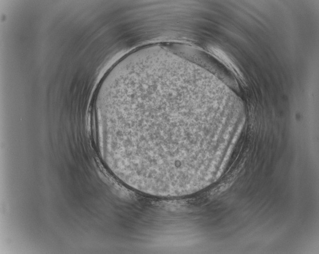 X0000075870900200610151657