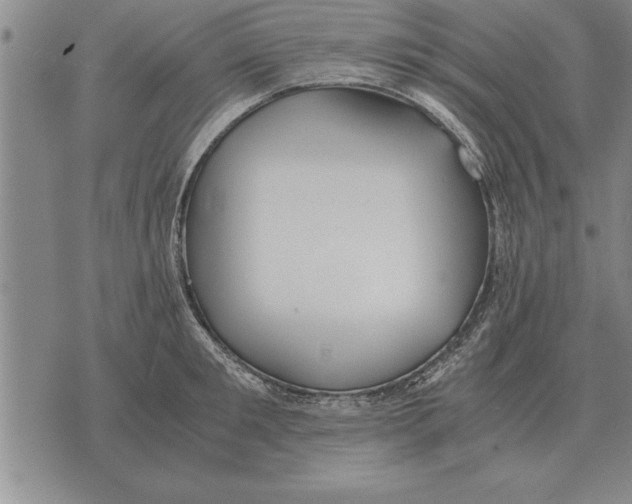 X0000075870901200610151657