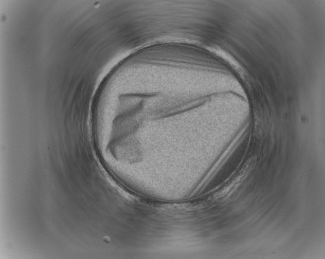 X0000075870902200610151657