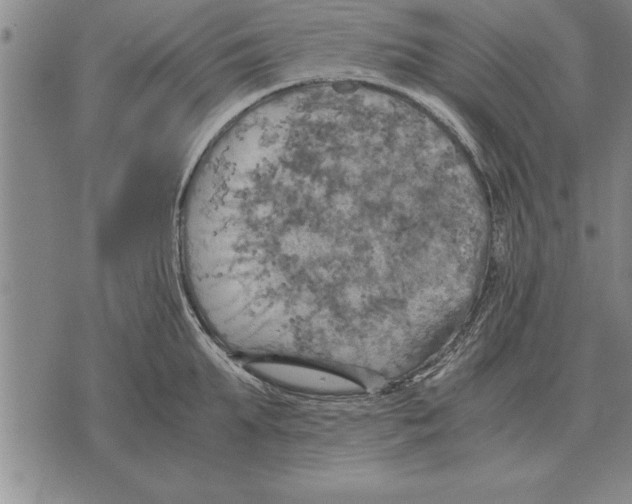 X0000075870903200610151657