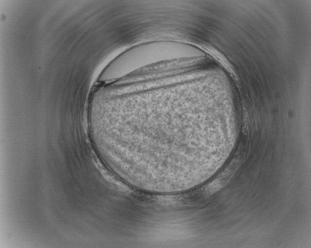 X0000075870904200610151657