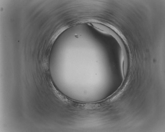 X0000075870905200610151657