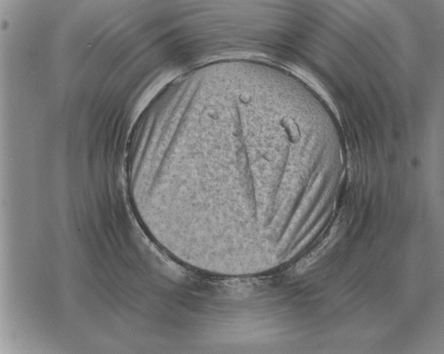 X0000075870906200610151657