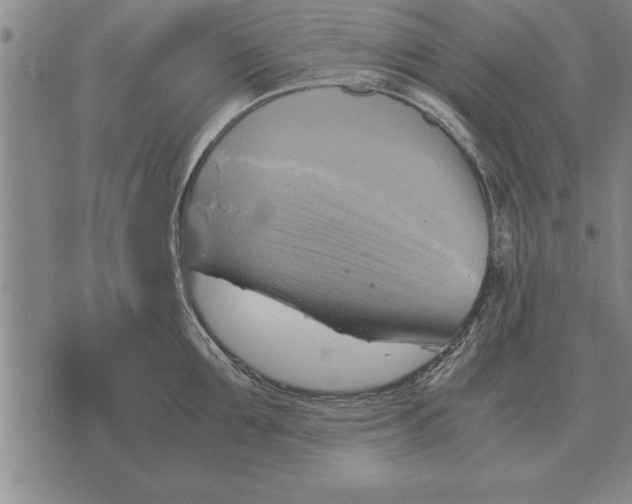 X0000075870907200610151657