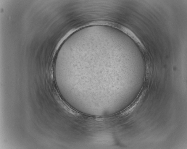 X0000075870908200610151657