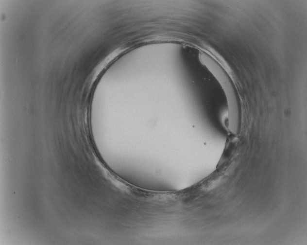 X0000075870909200610151657