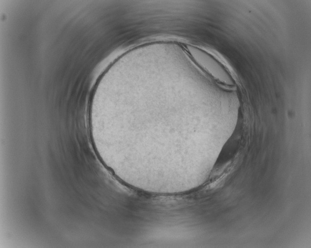 X0000075870910200610151657